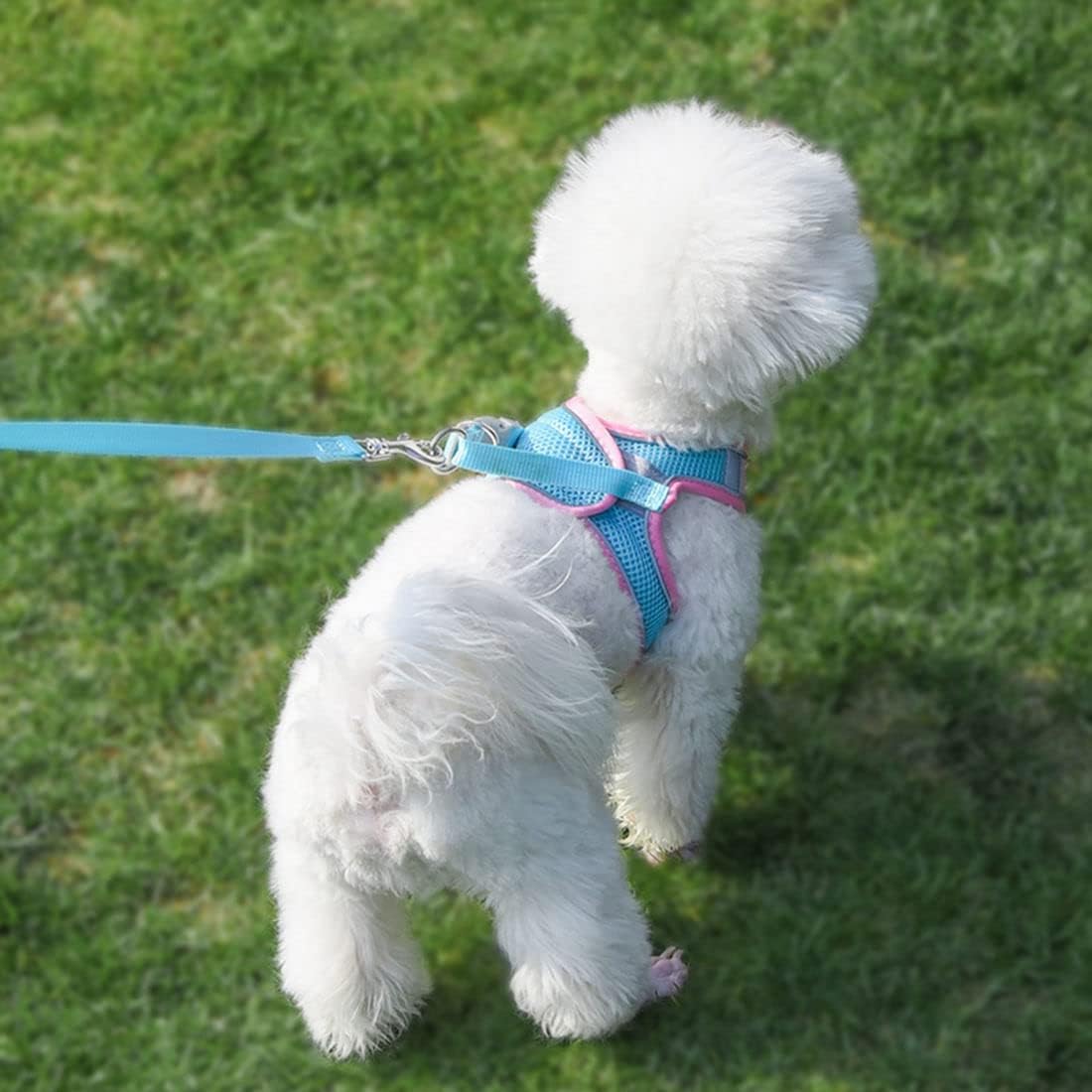 Small Dog Harness and Leash Set, Puppy Harness Girl Cats Vest, Pink XXS