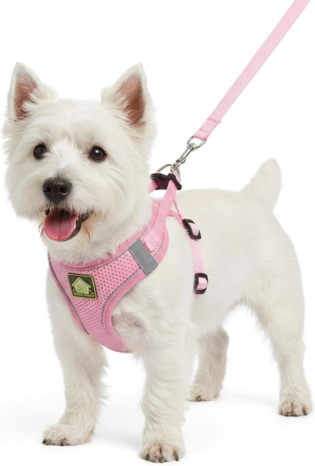Dog Harness with Leash Set, No Pull Adjustable Reflective Step-in Puppy Harness with Thickened Padded Vest for Extra-Small/Small Medium Dogs (Pink, Medium)