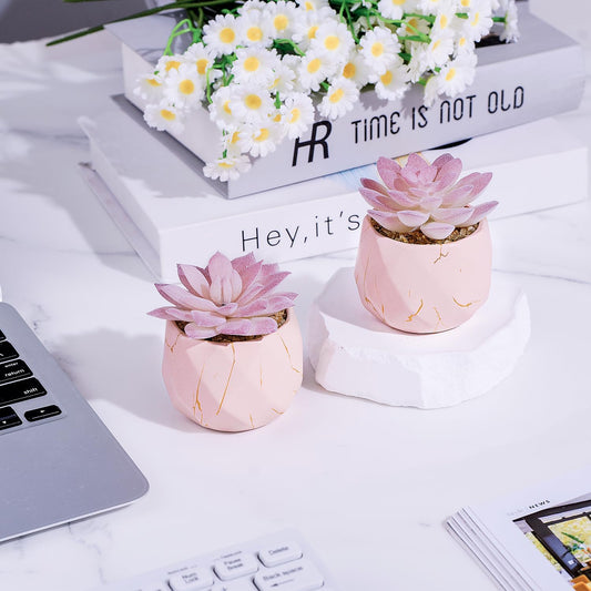 Artificial Succulent Plants in 2 Pink Ceramic Pots, Cute Fake Plants for Vanity Decor,Office, Desk, Bathroom, Kitchen,Bedroom, Shelves Decor for Women,Girls Gift