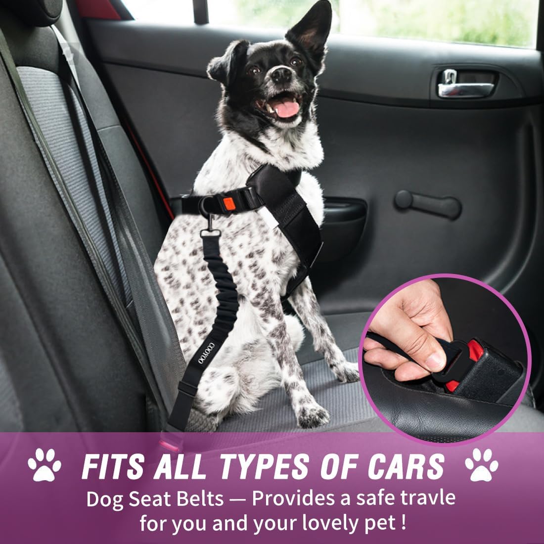 Dog Seat Belt, Durability Retractable Dog Car Harness Adjustable Dog Seat Belt for Vehicle Nylon Pet Safety Seat Belts Heavy Duty & Elastic