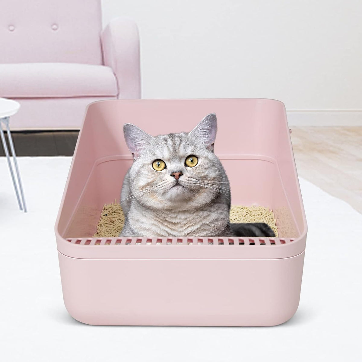 High Sided Cat Litter Box: Open Top Anti Tracking Design