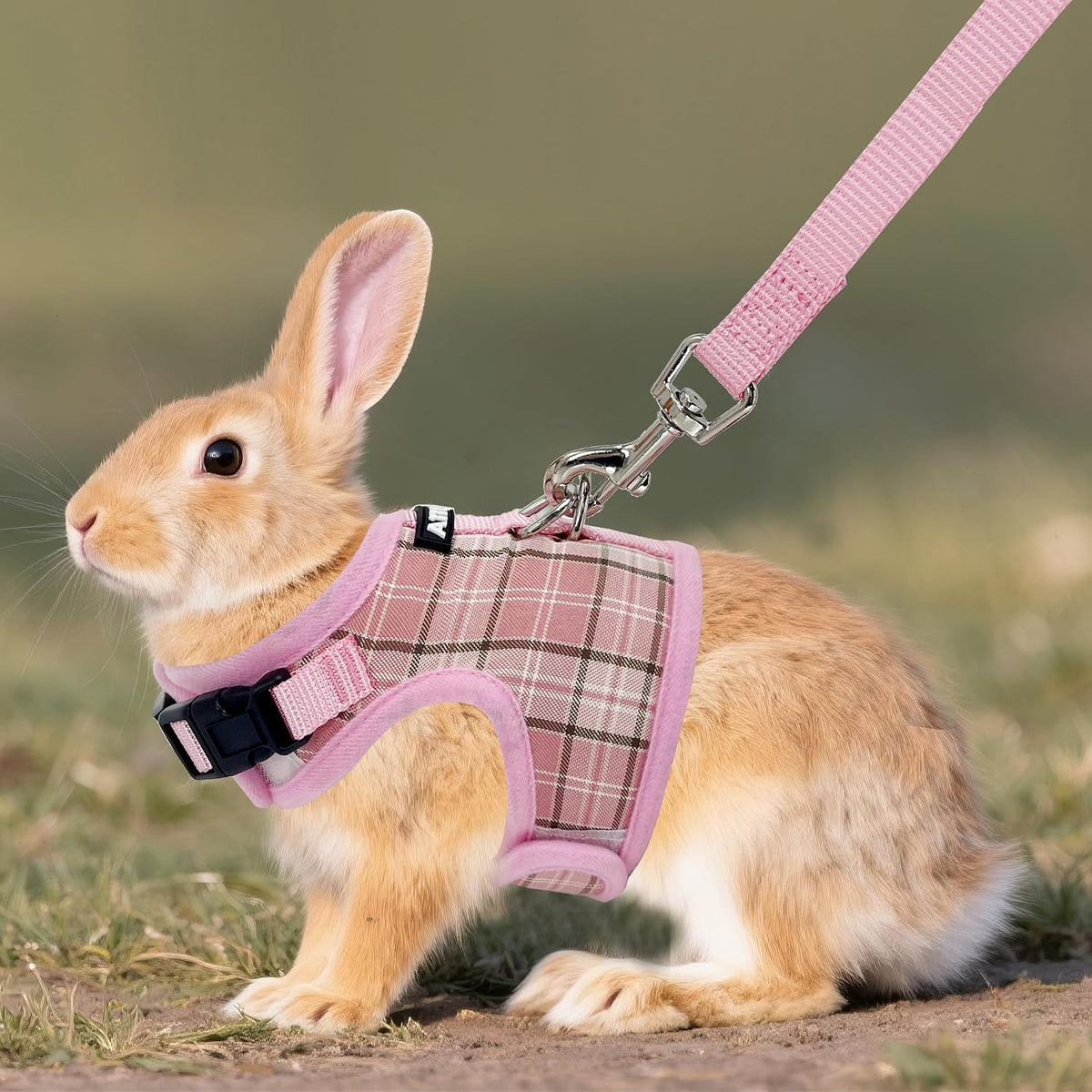 AIITLE Plaid Breathable Rabbit Harness and Leash Set Escape Proof, Pink M