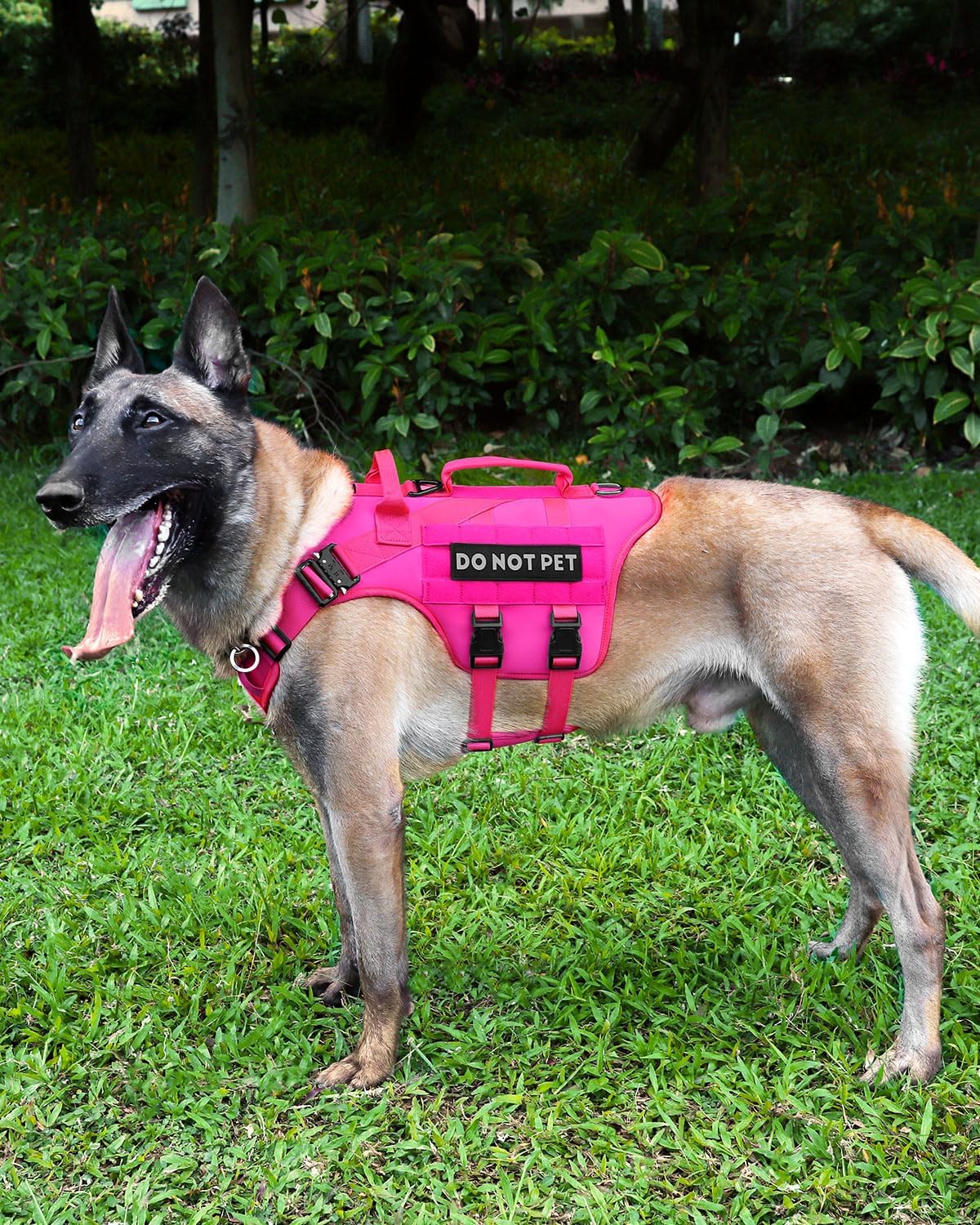 Tactical Dog Harness Service Vest for Medium Dogs M Pink