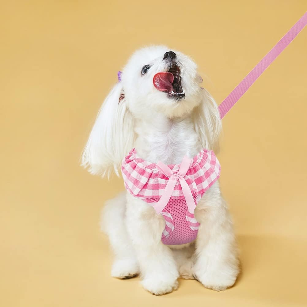 EXPAWLORER Cute Dog Harness and Leash Set - Pink Girl Dog Harness Checkered Step-in Design, Easy Adjustable No-Choke Lightweight Breathable Vest for Puppy Small Dogs Cats Outdoor Walking, Small