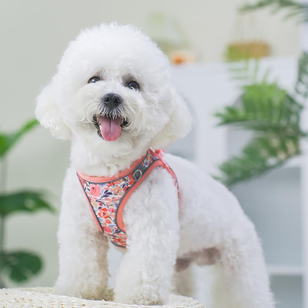 Step in Dog Harness and Leash Set, Flower Adjustable Easy Walk Puppy Harnesses, Soft Mesh Pet Vest Harness Small Size Dog Adjustable No Pull Dog Harness for Small Medium Dogs(Pink, XS)