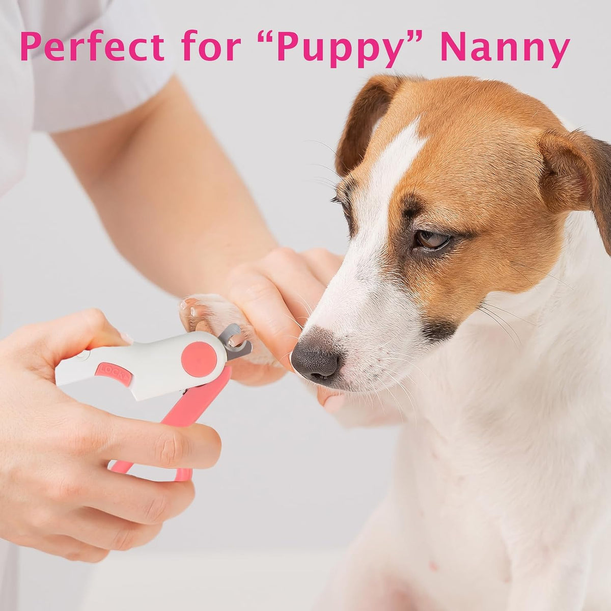 Small Animals Nail Clippers with LED Lights to Avoid Excessive Cutting and Sharp Blades - Professional Claw Trimmer for Tiny Dog Cat Kitten Bunny Rabbit Bird Guinea Pigs Ferret Hamsters (Pink)