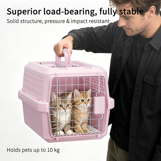 RIZZARI Small Hard Sided Pet Carrier, Ventilated Plastic Travel Crate with Metal Door and Top Handle for Small Dogs and Cats, Pink Small, Ideal for Car Travel Vet Visits and Daily Use