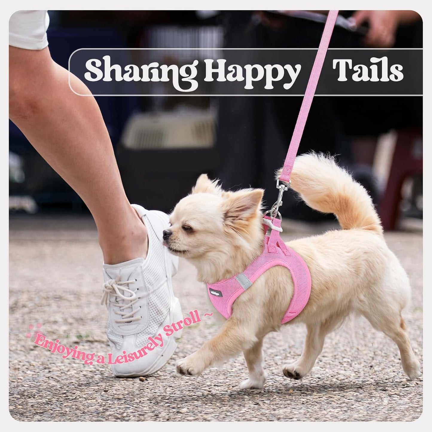 rabbitgoo Dog Harness Small Sized and Leash Set, Step in Soft Light Puppy Vest, Breathable Mesh Pet Harness, Reflective for Safe Easy Walking, Light Pink S