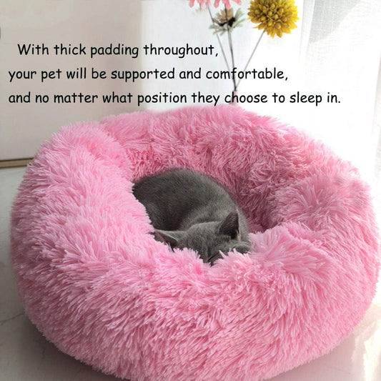 Modern Soft Plush Round Pet Bed for Cats or Small Dogs, Mini Medium Sized Dog Cat Bed Self Warming Autumn Winter Indoor Snooze Sleeping Cozy Kitty Teddy Kennel (20'' D x 8'' H, Hot Pink)