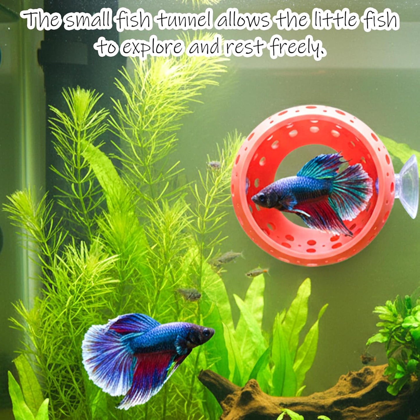 Betta Bulb Hide, Betta Tunnel Shrimp Cave Aquarium Fish Hideout with Suction Cup Aquarium Cave Decor for Shrimp, Guppies Guppy Hiding Resting (Pink)