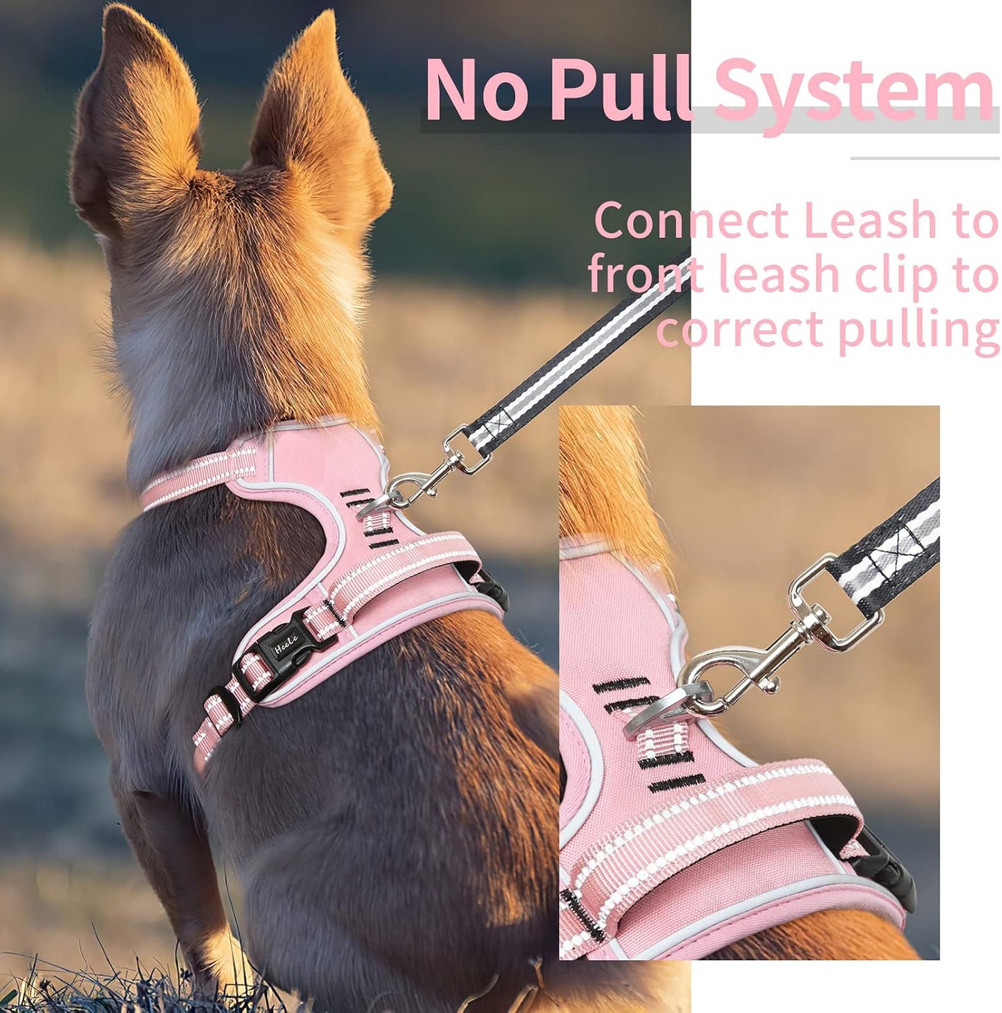 HEELE Dog Harness, No Pull Adjustable Padded Reflective Harness for Small Medium Large Dogs with Handle for Walking Training, Pink, M