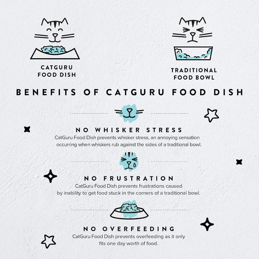 CatGuru Cat Bowls, Whisker Friendly Food Bowl for Indoor Cats, Reliefs Whisker Fatigue, Wide Kitten Dish, Non Slip Pet Dishes, Shallow Pet Plates (Pink, (Pack of 2))
