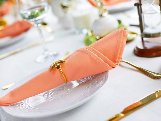 Peach Cloth Napkins Set of 6,100% Cotton Dinner Napkins, Warm Spring Carnation Color, Gift for Mon, Birthday,Soft Comfortable and Reusable 18"x18" (Salmon)