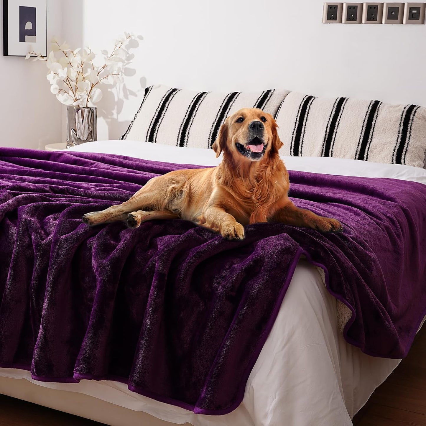 Sunsleek Waterproof Fleece Sherpa Blanket for Bed Sofa Couch Travel, Reversible Soft Throw Blanket for Dog Puppy Cat, Washable Pet Blanket (Purple,40x60 inches)