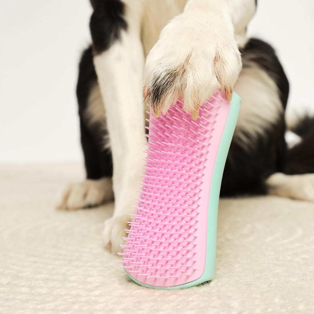 Pet Teezer De-Shedding Dog Grooming Brush, Dry Brush or Dog Bath Brush for Wet or Dry Fur, Large, Mint & Pink