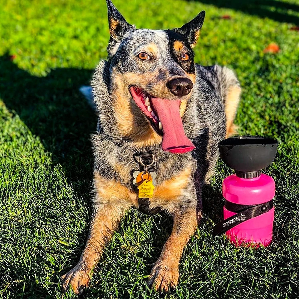 lesotc Dog Water Bottle, Portable Pet Dispenser with Water Bowl, Leak Proof Pet Travel Squeeze Bottle, Puppy Essentials Dog Stuff Accessories for Outdoor Walking, Hiking, Camping