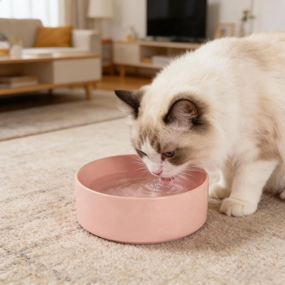 Premium Ceramic Dog Bowl, Pink, 28 OZ