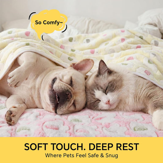 3 Pack Cute Dog Blankets Soft Fleece for Small Puppy Cat,23"x16"