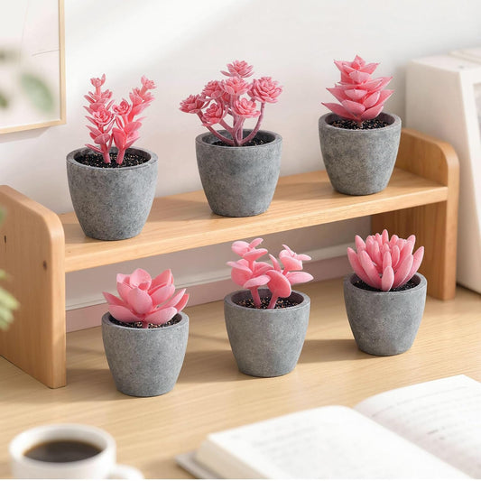 Set of 6 Artificial Pink Succulent Plants Potted