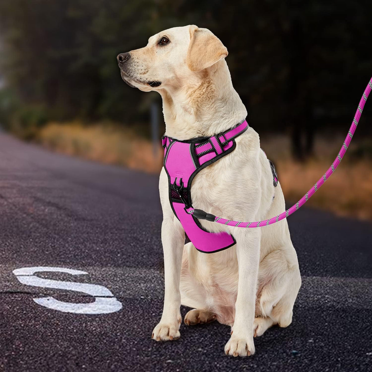 No Pull Dog Harness for Medium Dogs,Reflective Dog Vest Harness