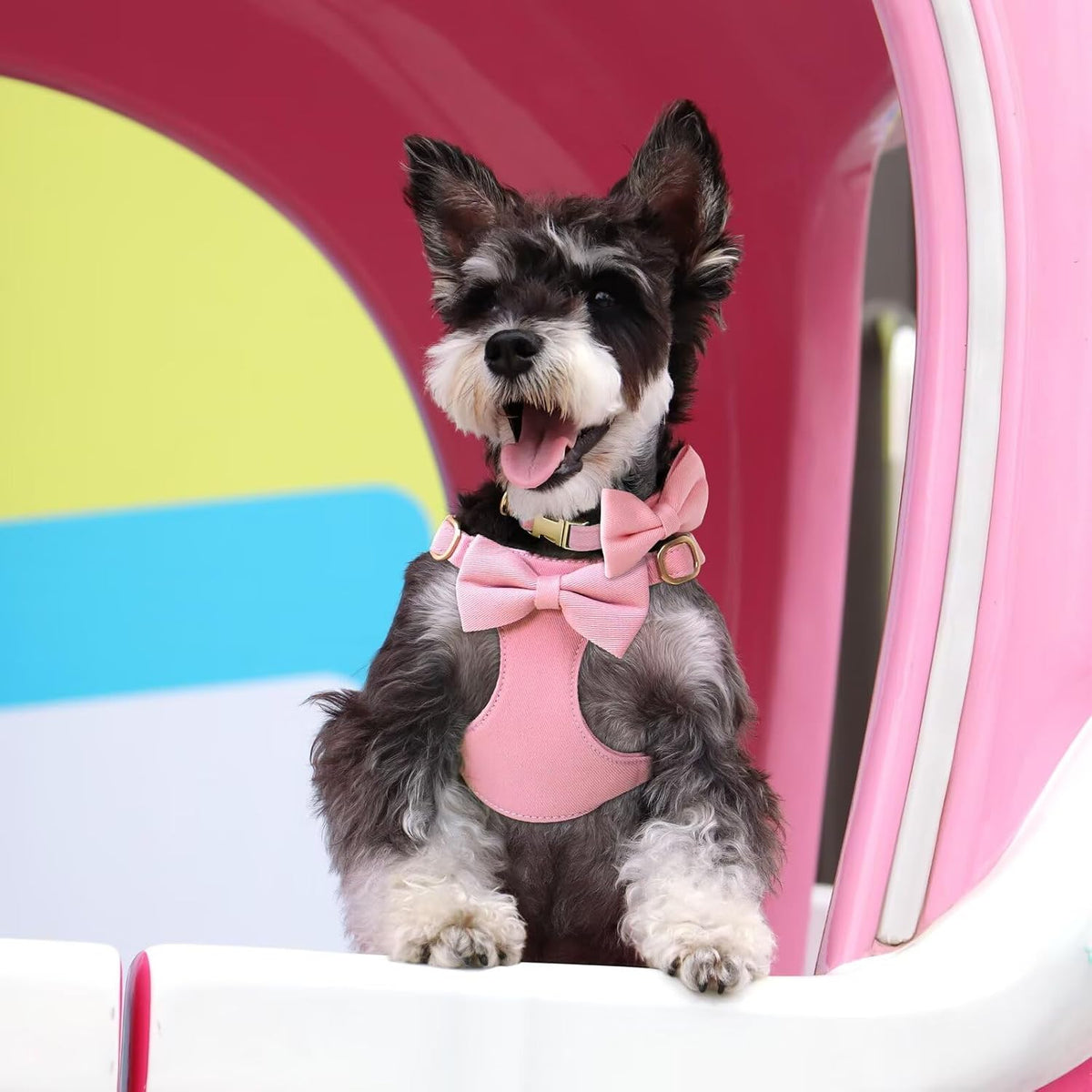 Cute Small Dog Harness Collar and Leash Set, Pink,XS,Chest 13-28"