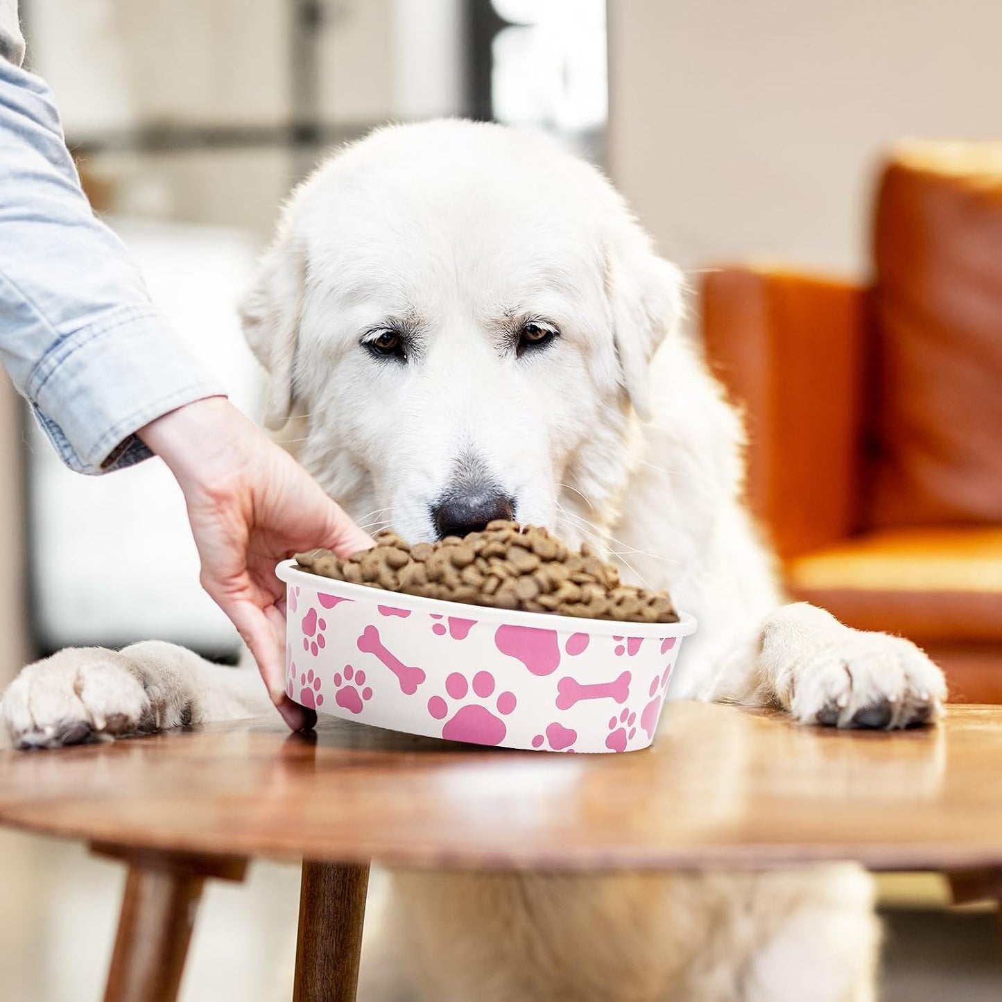 Whaline 50Pcs Pet Disposable Feeding Bowls Pink White Paper Dog Bowls Small Dog Dish 16 Oz 2 Cup Pet Serving Food Tray for Puppy Cat Travel Wet Dry Food Water