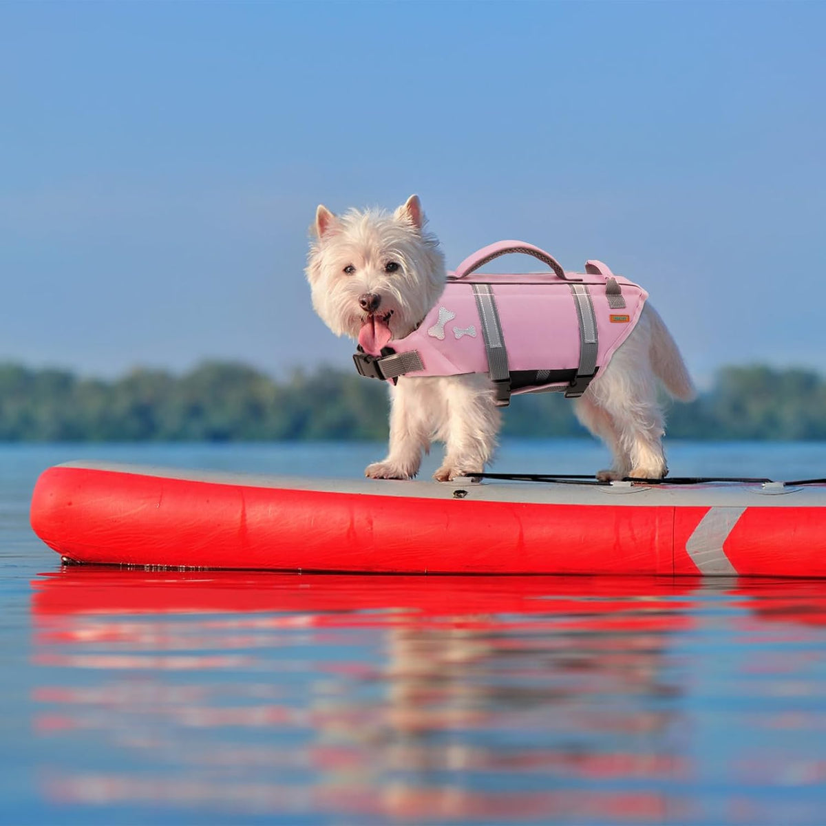 Dog Life Jacket, Adjustable Sports Style Swim Vests for Boating