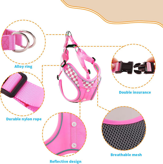Dog Harness with Leash Set, No Pull Adjustable Step in Pet Vest