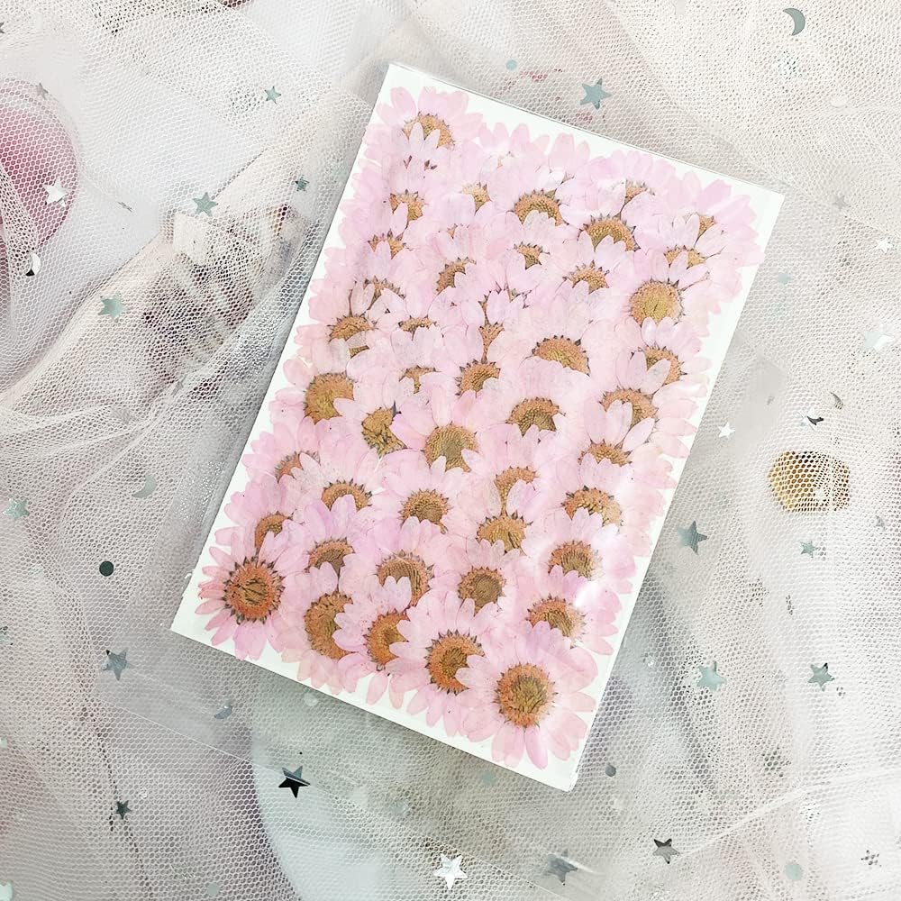 Natural Dried Pink Daisy Flower, Vacuum Packaging, Pressed Flower for House Decoration, Jewelry Making, Phone case Decoration 50pcs/Pack (Pink)