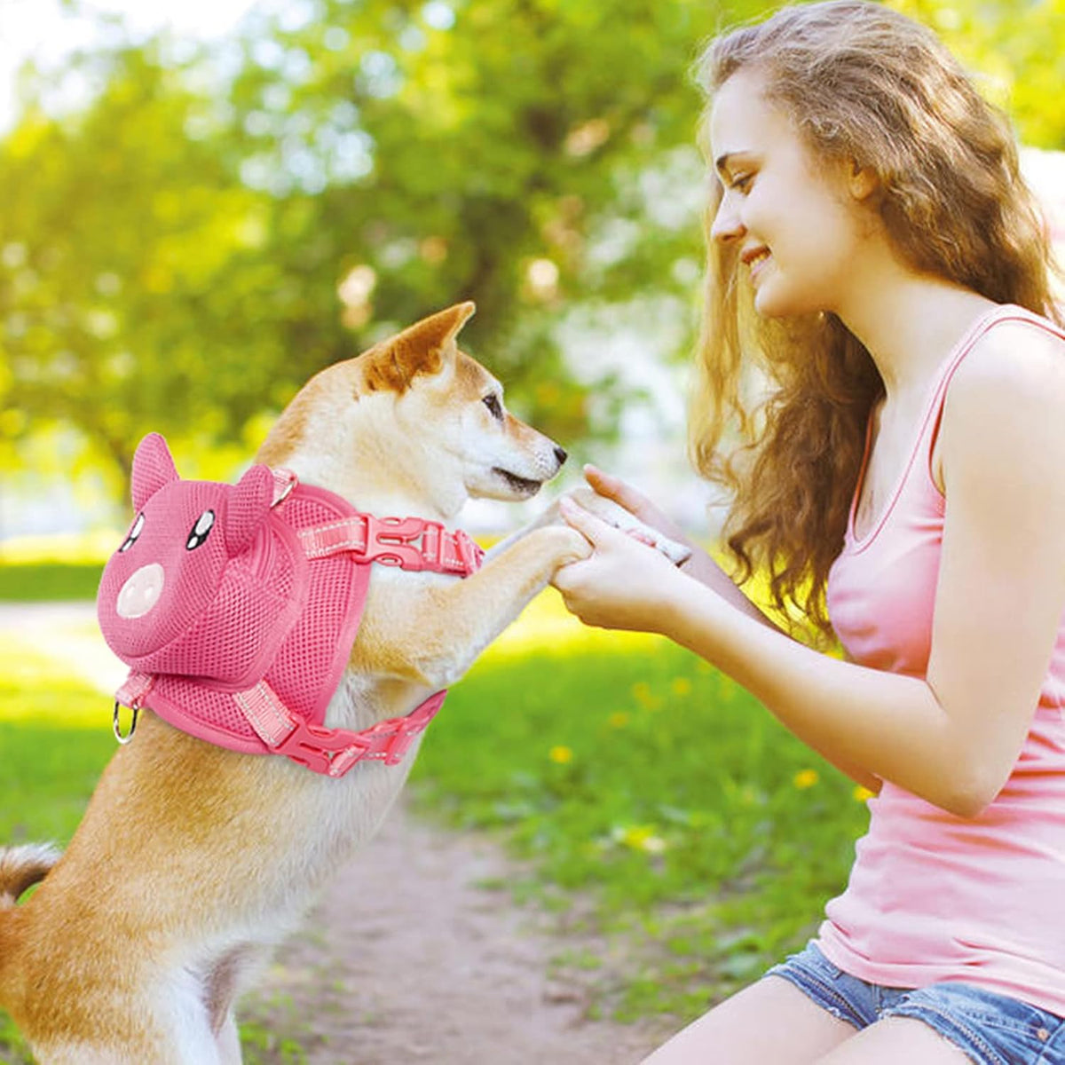 Dog Harness with Backpack, Adjustable Dog Backpack Harness for Small Medium Dogs, No-Pull Breathable Backpacks for Dogs to Wear, for Traveling, Hiking, Camping, Training, Pink M