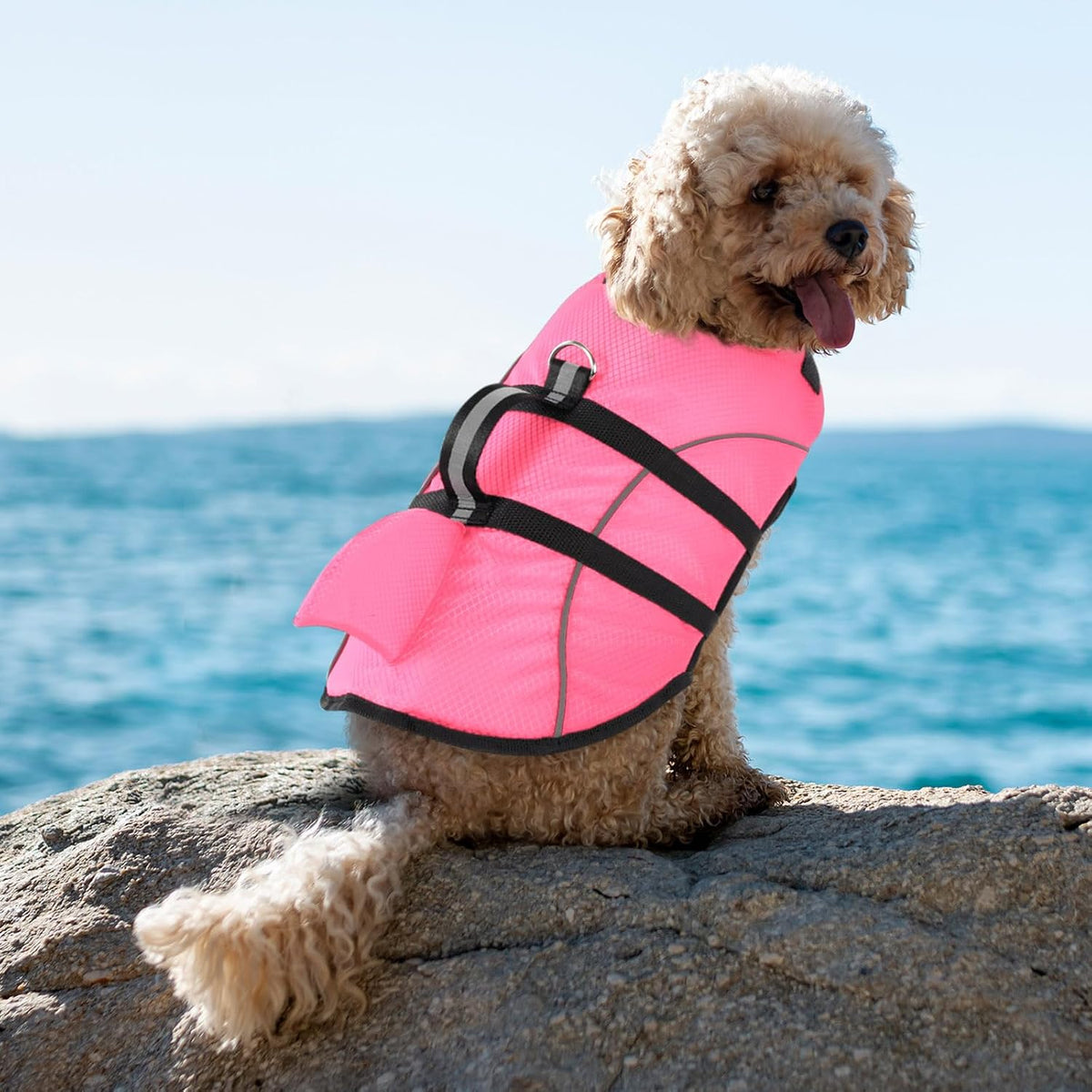 Small Dog Life Jacket Shark Light Puppy Life Vest for Swimming