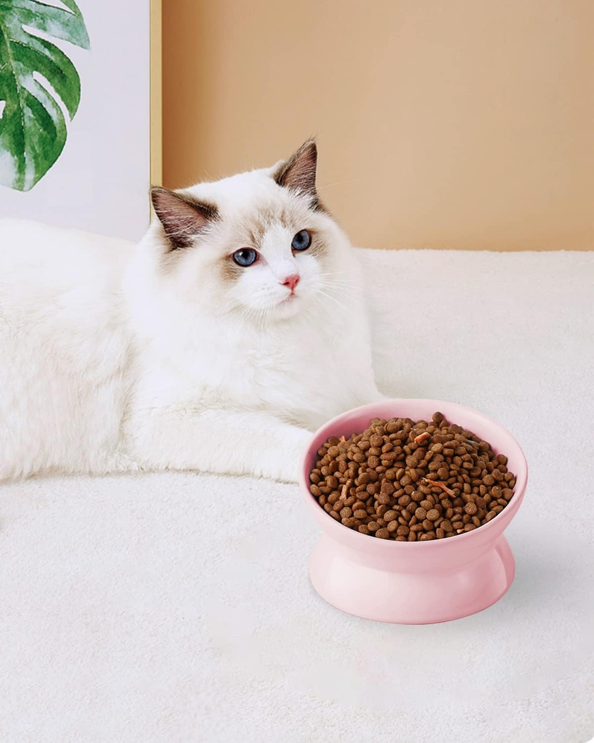 Elevated Cat Food Bowl, 5 Oz Ceramic Raised and Tilted Water Bowl, Anti Vomiting and Protect Pets' Spines Dishes for Small Dog, Fat Faced Cat, Kitten (Pink, 1 Pack)