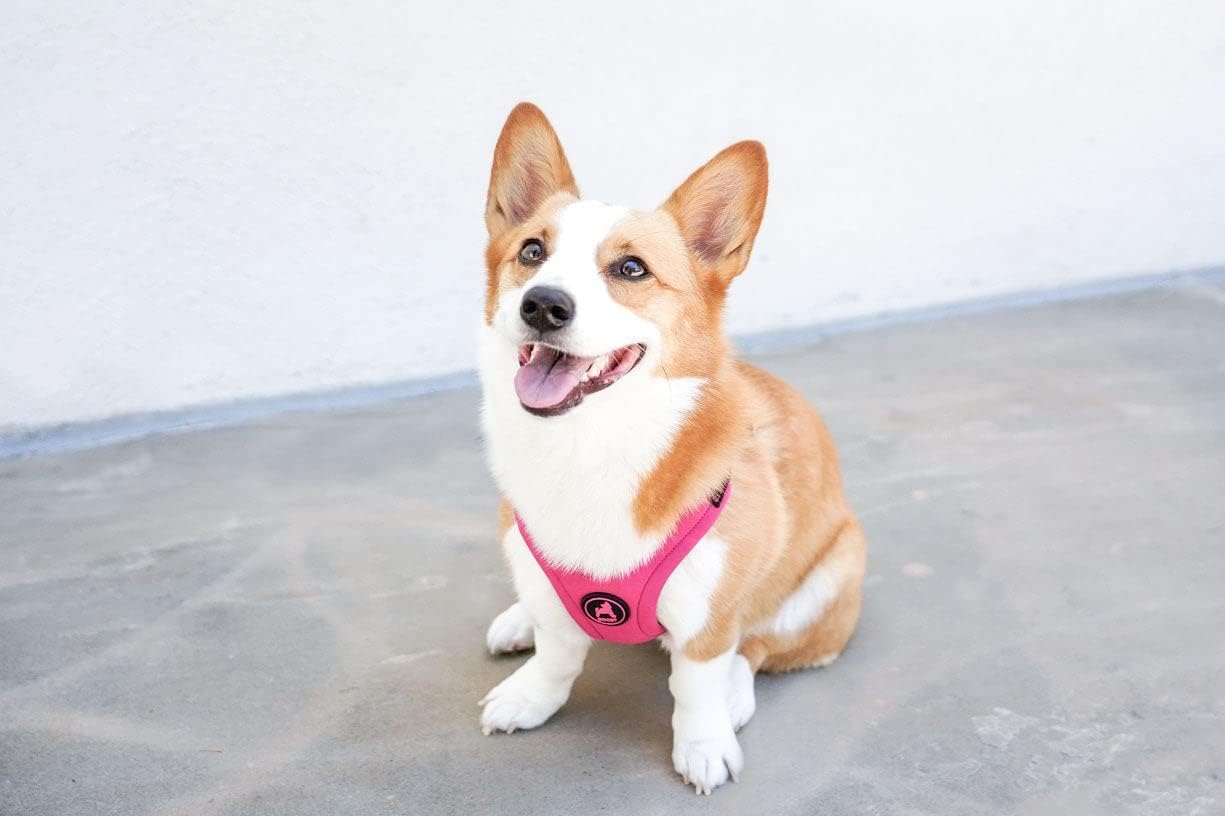 Escape Free Sport Harness - Pink, Large - No Choke Step-in Patented Neoprene Small Dog Harness with Four-Point Adjustment - Perfect on The Go Dog Harness for Medium Dogs No Pull and Small Dogs