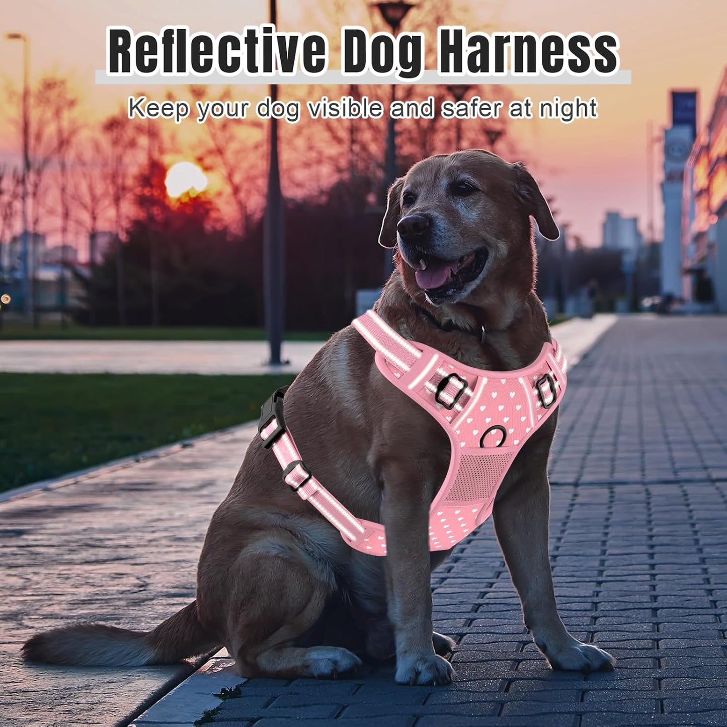 No Pull Dog Harness, Cute Reflective Small Sized Puppy Kitten Harness, Adjustable Soft Padded Vest for Small Dogs, Cats, Heavy Duty Pet Vest with Easy Control Handle for Walking, Pink Hearts