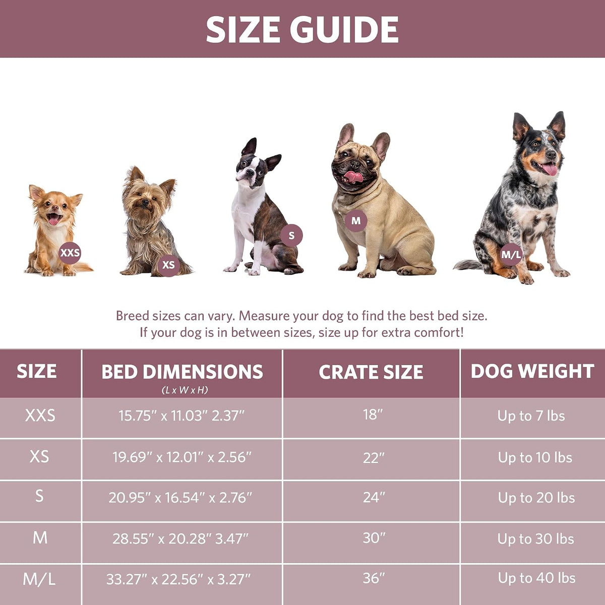 QuietTime Fashion XS Dog Bed - Pink Faux Fur Bolster, Ultra-Soft and Machine Washable, Fits 22-Inch Crates and Carriers, for Small Dogs and Cats