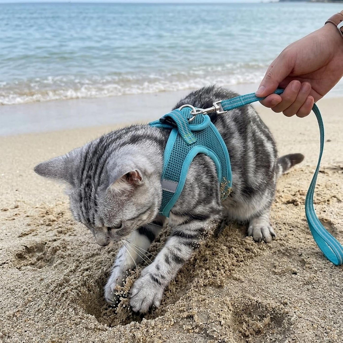 HEYWEAN Cat Harness and Leash - Ultra Light Escape Proof Kitten Collar Cat Walking Jacket with Running Cushioning Soft and Comfortable Suitable for Puppies Rabbits