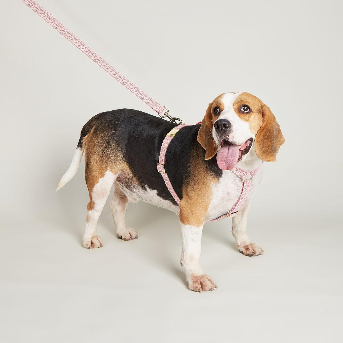 Large Dog Harness and Leash Set, Adjustable No Pull Pet Halter Harness with Flower & Metal Buckle, Easy Control for Training Walking, Pink,L