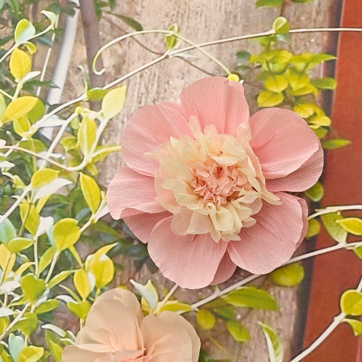 Pink Blush Peach Crepe Paper Flower for Wall Decor Girls Birthday Party Backdrop Baby Shower Nursery Room Decoration Pack of 9
