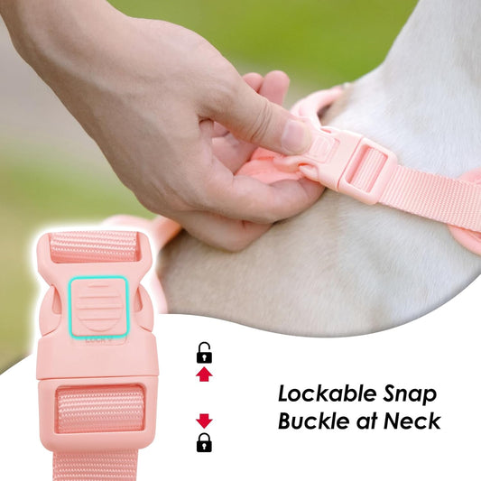 No Pull Dog Harness for Small Sized Dogs, Puppy Vest No Choke