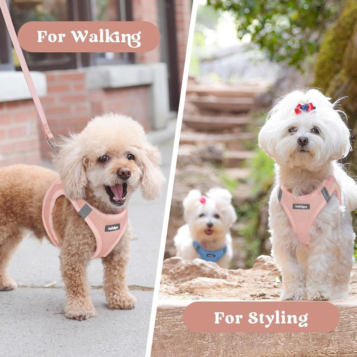 Step-in Small Dog Harness, Puppy Vest for Small Sized Pet
