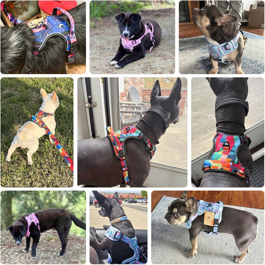 No Pull Dog Harness and Leash Set, Step in Puppy Pet Vest, Medium