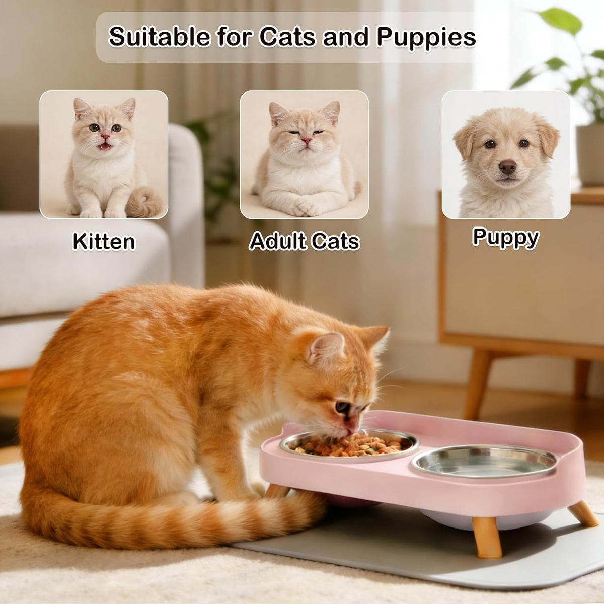 Elevated Cat Bowls with Food Mat, Splash Proof Anti Vomiting Raised Cat Food and Water Bowl Set, 2 Stainless Steel Dishes for Cats and Puppy, Pet Bowl for Indoor Cats Pink