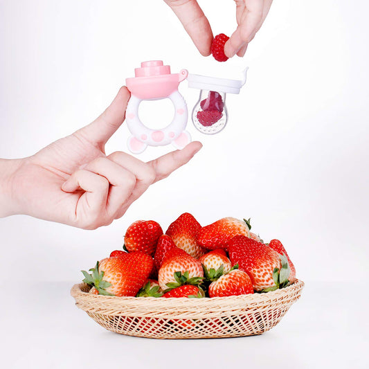 Baby Fruit Food Feeder Pacifier, Silicone Teething Relief Toy, 2-Pack with 6 BPA-Free Pouches, Light Pink, 3-24 Months