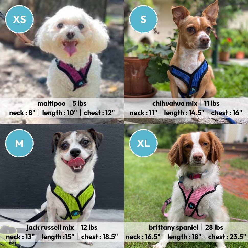 Comfort X Step-in Lite Harness, Choke-Free, Pink, Medium