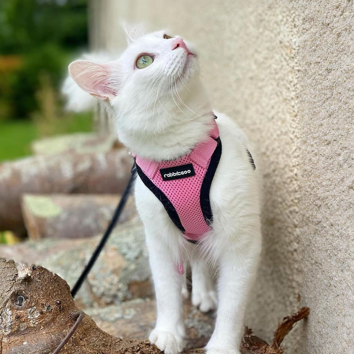 Cat Harness and Leash Set, Escape Proof Vest, Pink