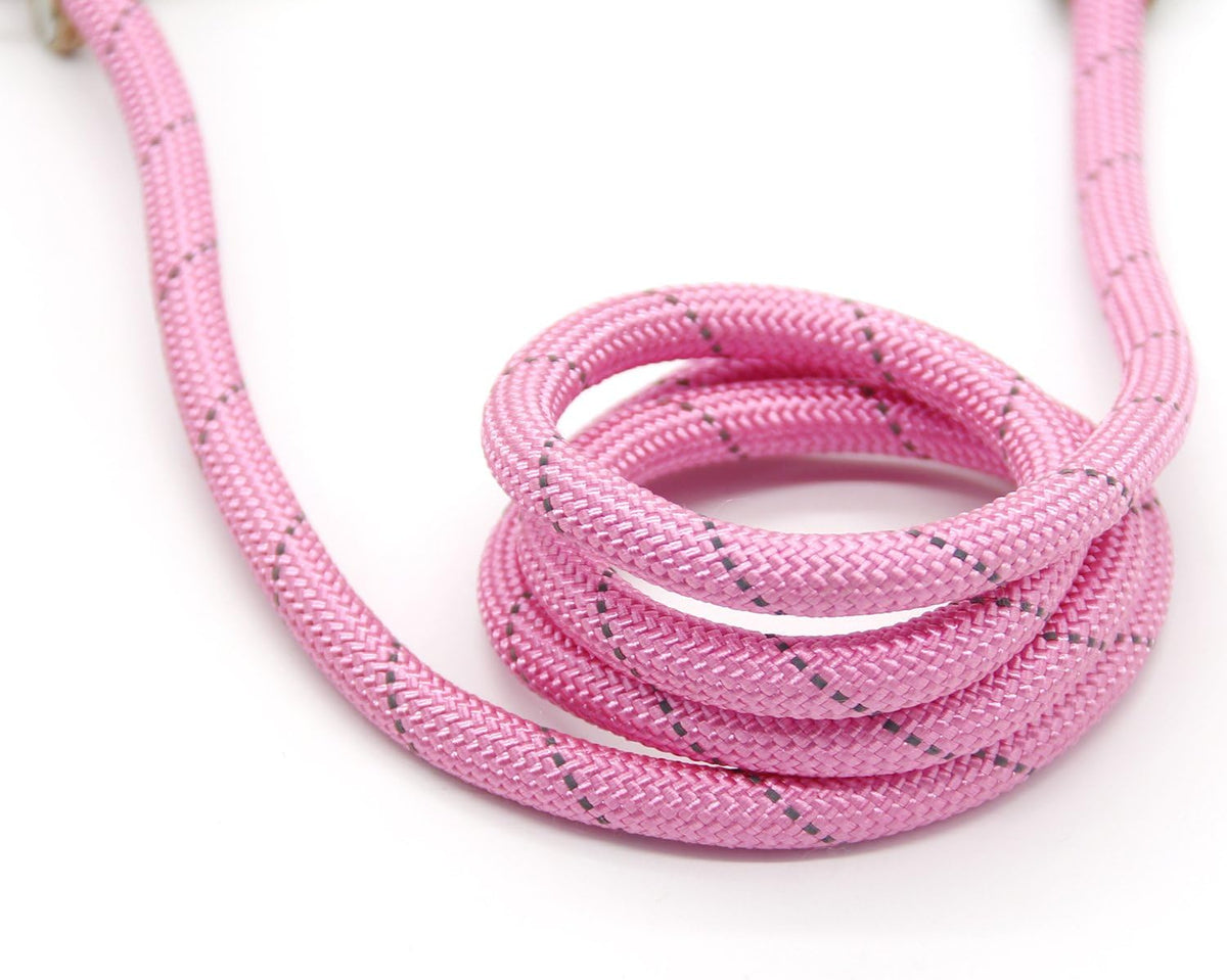 Durable Dog Slip Rope Leash, 5 FT Dog Training Leash, 10-80 lb