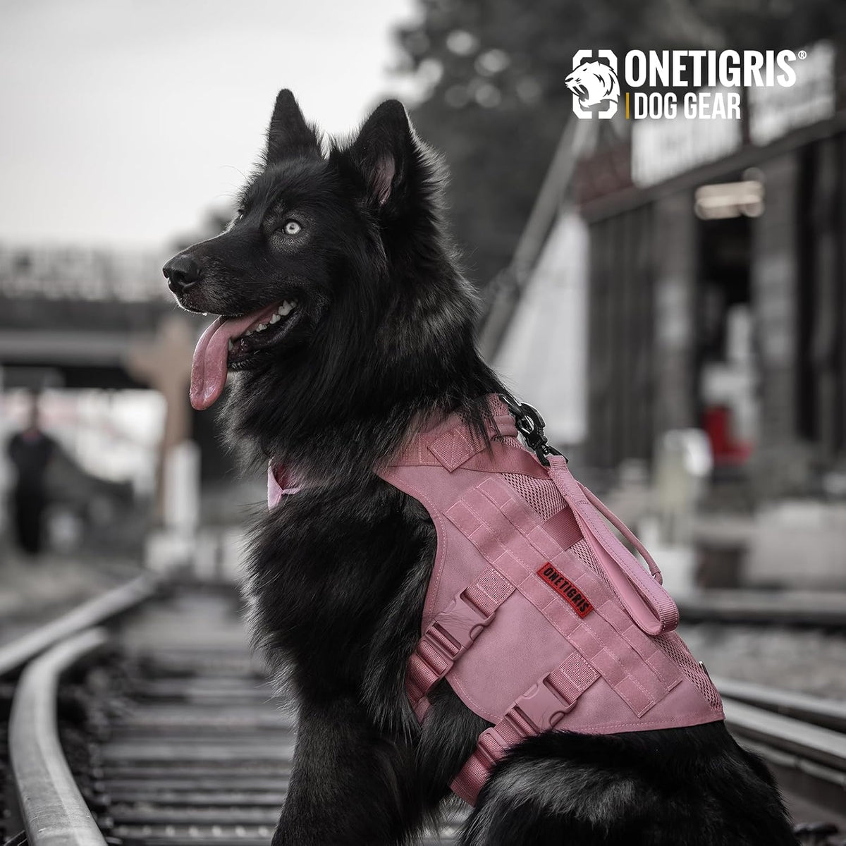 Tactical Dog Harness for Small Dog, No Pull Small Dog Vest Harness with Handles Breathable Military Dogs Molle Vests for Walking Hiking Training (Pink, Medium)