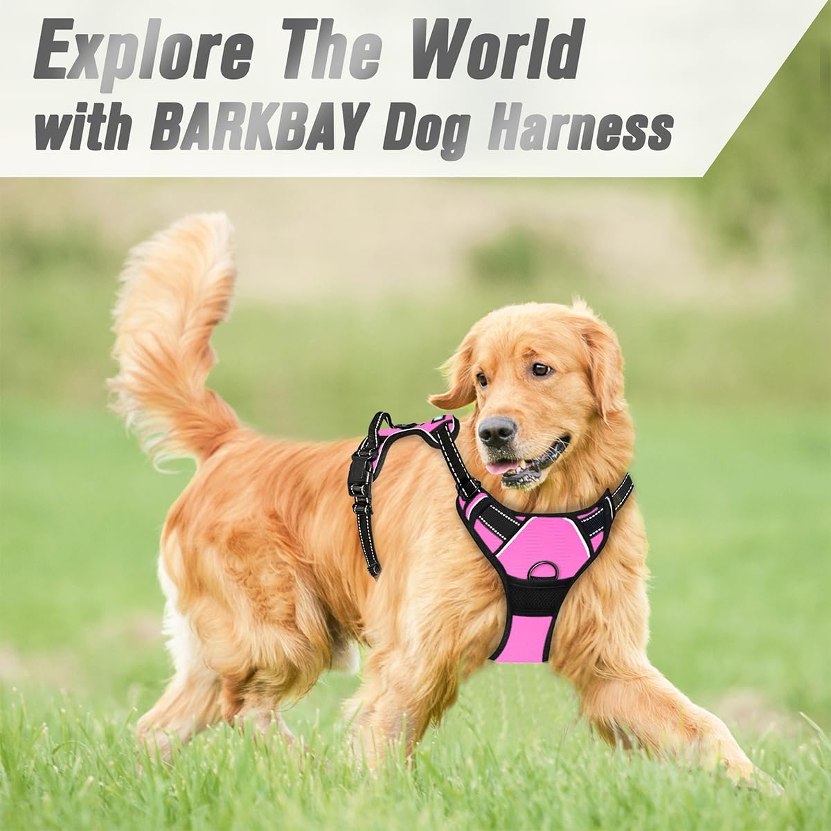 Dog Harness No Pull for Large Dogs Front Back Clips,Dog Vest