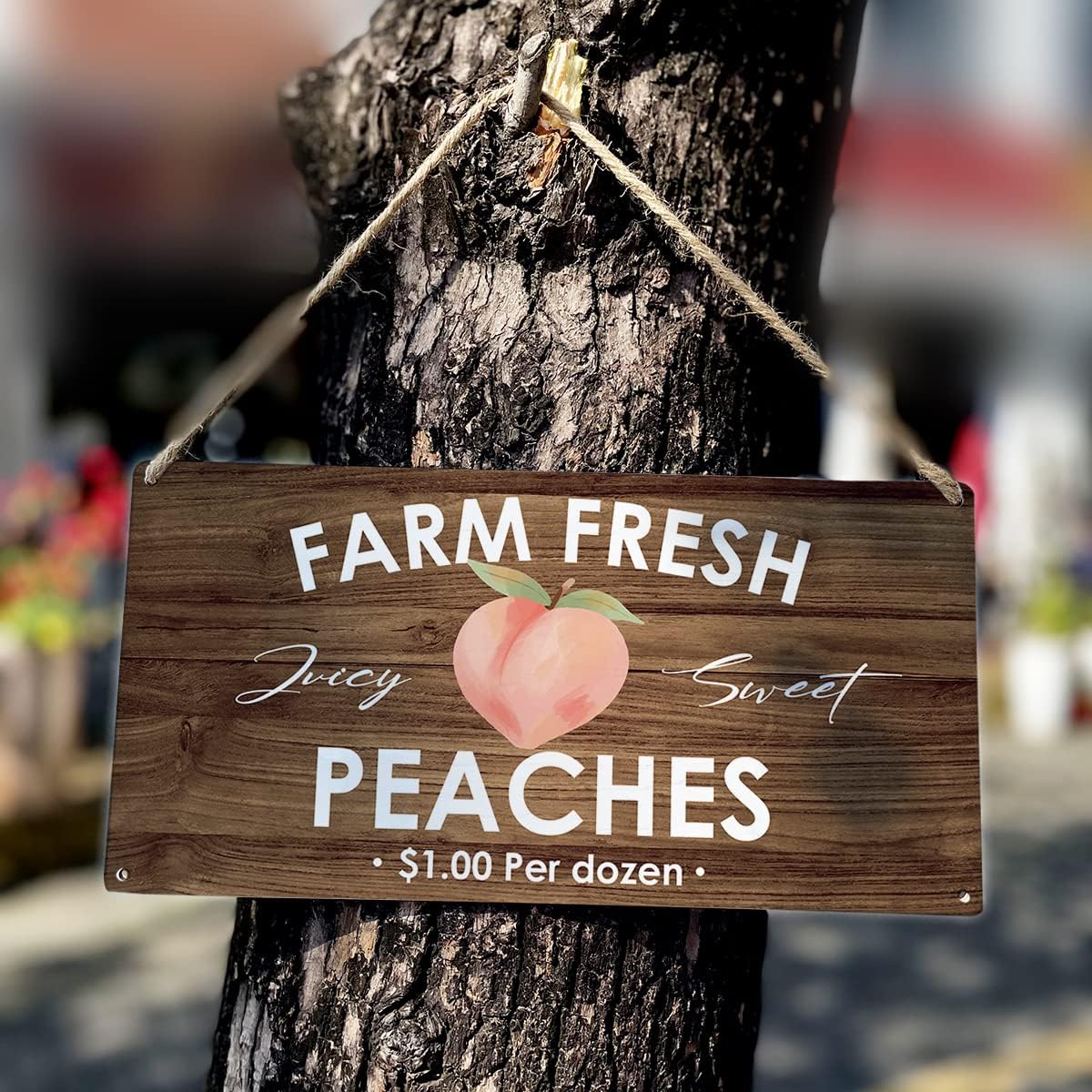 Country Style Peaches Farmhouse Wooden Signs Rustic Farm fresh Peaches Hanging Wall Plaque Sign Home Kitchen Decor Present