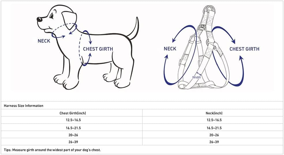 Essentials Step-in Dog Harness, Medium Size | Adjustable Fuchsia Pink Vest | Classic Solid Nylon for Boy & Girl Dogs, Chest Girth 20" -26"